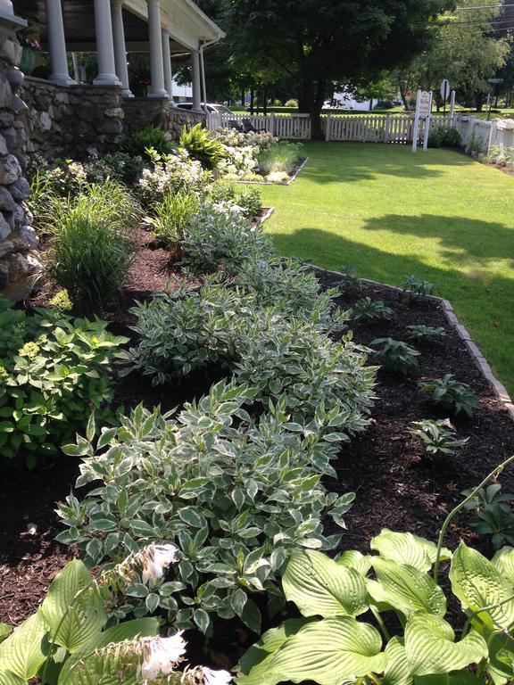 Hilltop House Bed & Breakfast Amenia Bagian luar foto
